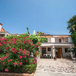 Haus Roko Apartment
